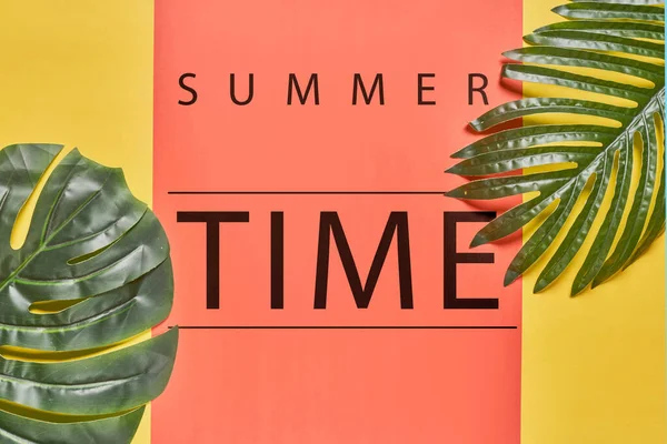 Tropical Brilhante Colorido Fundo Verão Com Palma Tropical — Fotografia de Stock