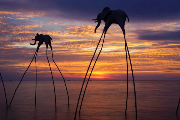 Tiro Larga Exposición Elefantes Palos Atardecer Sanato Beach —  Fotos de Stock