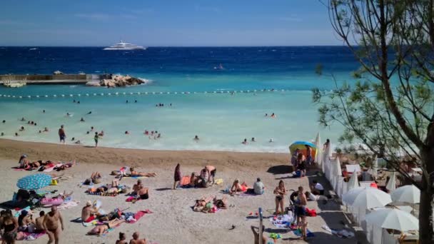 Monte Carlo モナコ 2021年8月1日 地中海の大きな波で8Kスイマー風呂 モンテカルロのラルボットビーチ フランスのリビエラのモナコ ヨーロッパ Uhd 7680 — ストック動画