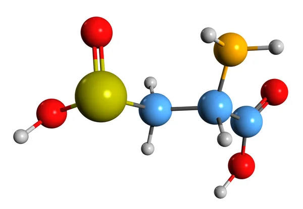 Εικόνα Του Σκελετικού Τύπου Κυστεΐνης Σουλφινικού Οξέος Μοριακή Χημική Δομή — Φωτογραφία Αρχείου