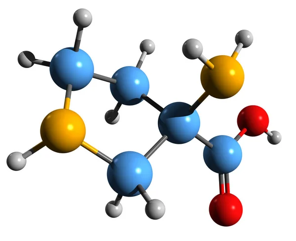 Aufnahme Der Cucurbitin Skelettformel Molekulare Chemische Struktur Von Carboxypyrrolidin Isoliert — Stockfoto