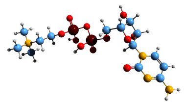  Citicoline iskelet formülünün 3 boyutlu görüntüsü - beyaz arkaplanda izole edilmiş CDP-Choline 'in moleküler kimyasal yapısı