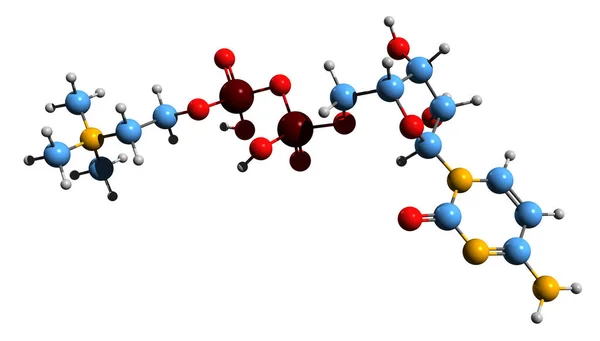 Bild Citicoline Skelett Formel Molekylär Kemisk Struktur Cdp Kolin Isolerad — Stockfoto