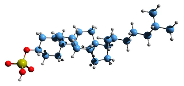 Εικόνα Του Σκελετικού Τύπου Θειική Χοληστερόλη Μοριακή Χημική Δομή Του — Φωτογραφία Αρχείου
