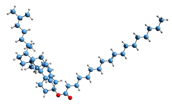 Obraz Kosterního Vzorce Cholesteryl Ester Molekulárně Chemická Struktura Dietních Lipidů — Stock fotografie