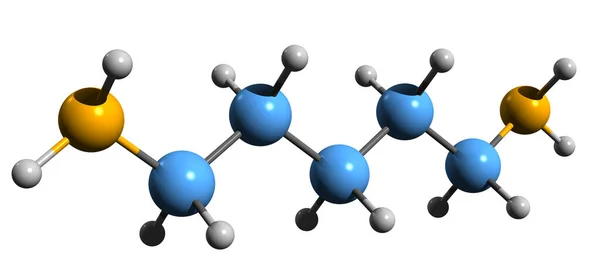 Imagen Fórmula Esquelética Cadaverine Estructura Química Molecular Diamina Aislada Sobre — Foto de Stock