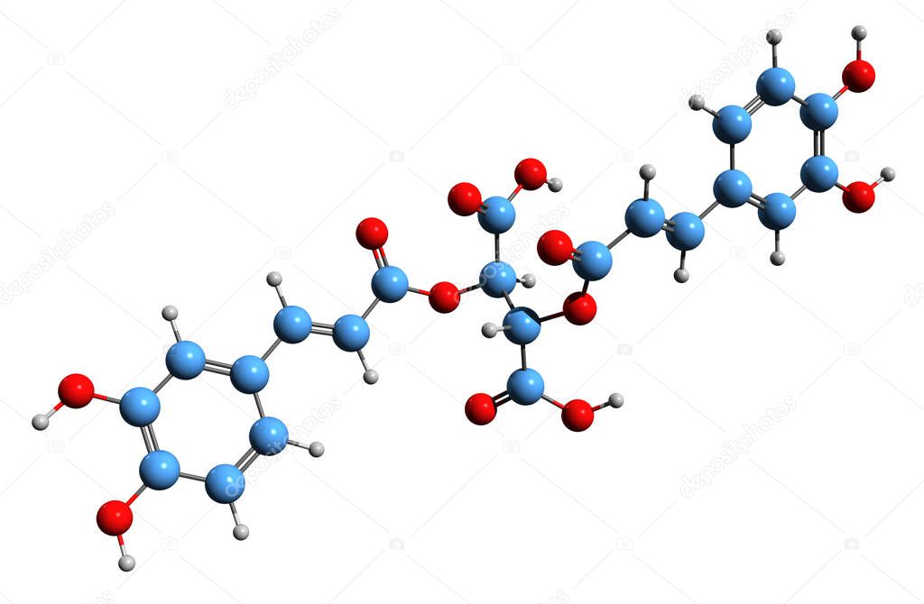 3D image of Chicoric acid skeletal formula - molecular chemical structure of hydroxycinnamic acid isolated on white background