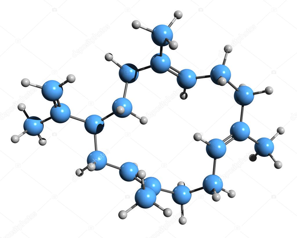  3D image of Cembrene A skeletal formula - molecular chemical structure of natural monocyclic diterpene isolated on white background