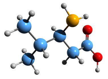  Beta-leucine iskelet formülünün 3 boyutlu görüntüsü - beyaz arkaplanda izole edilmiş beta amino asidin moleküler kimyasal yapısı