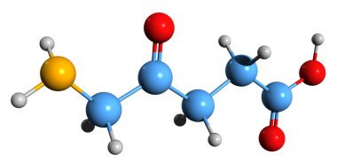  Aminolevulinik asit iskelet formülünün 3 boyutlu görüntüsü - beyaz arkaplanda izole edilmiş proteinsiz amino asidin moleküler kimyasal yapısı