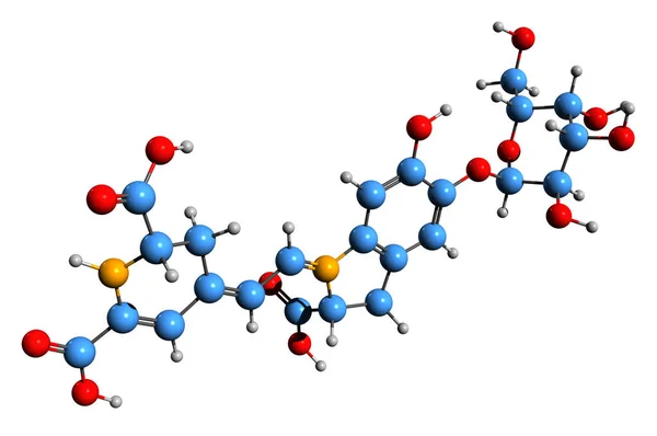 Beeld Van Betanine Skelet Formule Moleculaire Chemische Structuur Van Keverwortel — Stockfoto