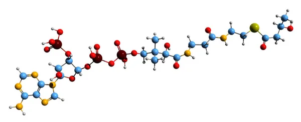 Изображение Бета Гидроксибутирил Coa Скелетной Формулы Молекулярной Химической Структуры Гидроксибутирил — стоковое фото