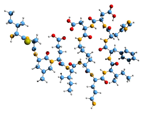 Image Bacitracin Skeletal Formula Molecular Chemical Structure Polypeptide Antibiotic 700 — Stock Photo, Image