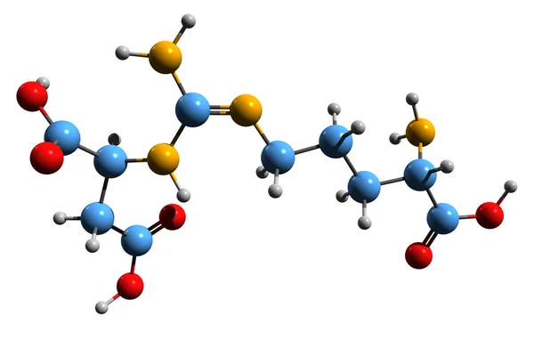 Beeld Van Argininosuccininezuur Skeletformule Moleculaire Chemische Structuur Van Aminozuur Geïsoleerd — Stockfoto