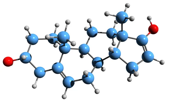 Beeld Van Androstadienol Skelet Formule Moleculaire Chemische Structuur Van Endogene — Stockfoto