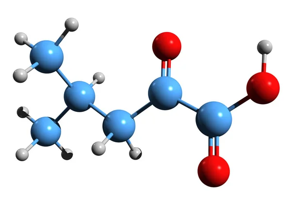 Alfa Ketoizocaproic Iskelet Formülünün Boyutlu Görüntüsü Metabolik Ara Yapının Moleküler — Stok fotoğraf