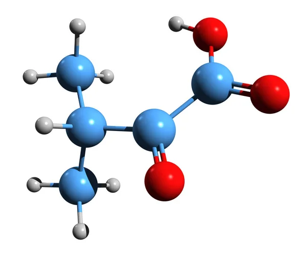 Image Alpha Ketoisovaleric Acid Skeletal Formula Molecular Chemical Structure Ketoacid — Stock Photo, Image