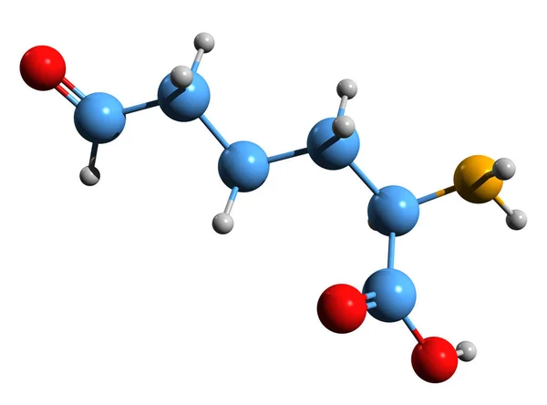 Изображение Скелетной Формулы Алисина Молекулярно Химическая Структура Производной Лизина Выделенной — стоковое фото