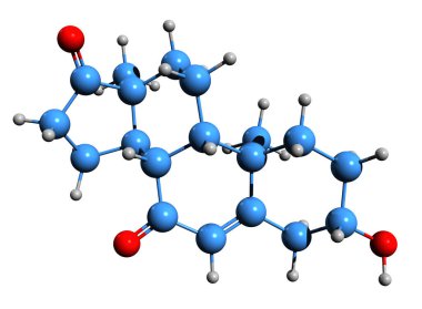 7-Keto-DHEA iskelet formülünün 3 boyutlu resmi - beyaz arkaplanda izole edilmiş 7-oxoprasteronun moleküler kimyasal yapısı