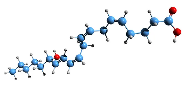 ヒドロキシEicosatetraenoic酸骨格式の3D画像 白色背景に分離された15 Heteの分子化学構造 — ストック写真