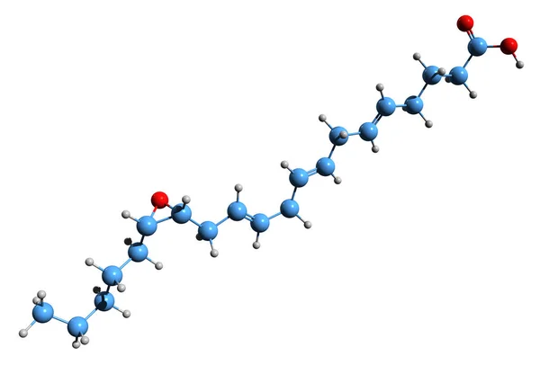 Imagem Fórmula Esquelética Ácido Epoxieicosatrienóico Estrutura Química Molecular Eet Isolada — Fotografia de Stock
