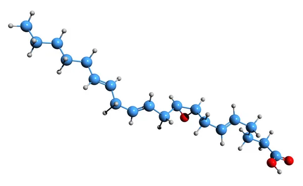Epoxyeiceicatrienoic Acid Skeletal Formula的3D图像 白底分离环氧Eicatrienoic Acid Eicosanoid的分子结构 — 图库照片