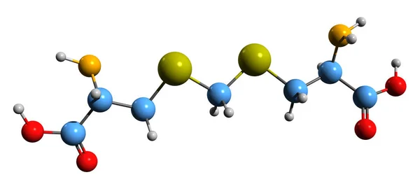 Image Djenkolic Acid Skeletal Formula Molecular Chemical Structure Jengkolic Acid — 스톡 사진