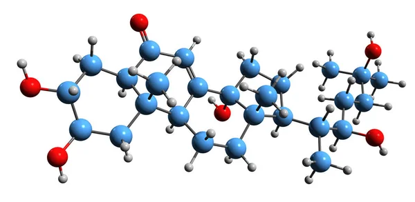 Image Ecdysteroid Skeletal Formula Molecular Chemical Structure Arthropod Steroid Hormone — 스톡 사진