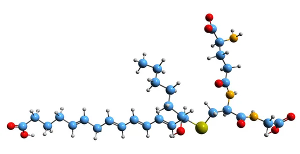 Image Eoxin Skeletal Formula Molecular Chemical Structure Leukotriene Isolated White — 图库照片