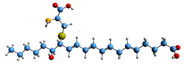 Image Eoxin Skeletal Formula Molecular Chemical Structure Leukotriene Isolated White — Fotografia de Stock
