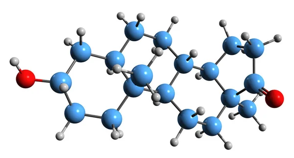 Image Epiandrosterone Skeletal Formula Molecular Chemical Structure Isoandrosterone Isolated White — Stock fotografie