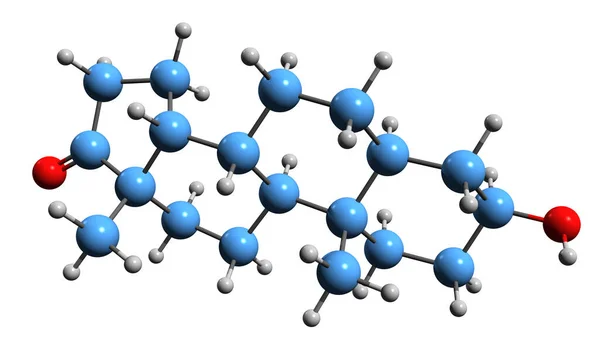 Image Epietiocholanolone Skeletal Formula Molecular Chemical Structure Etiocholane Steroid Isolated — стоковое фото