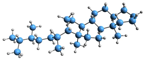 Image Ergostane Skeletal Formula Molecular Chemical Structure Tetracyclic Triterpene Isolated — ストック写真