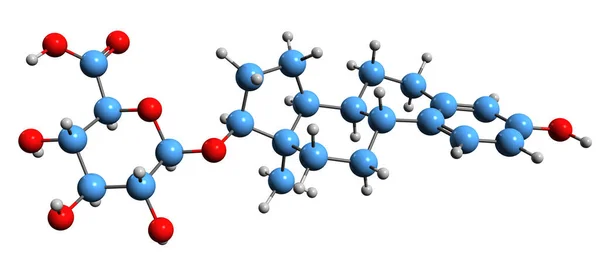Image Estradiol Glucuronide Skeletal Formula Molecular Chemical Structure Conjugated Metabolite — Stok fotoğraf