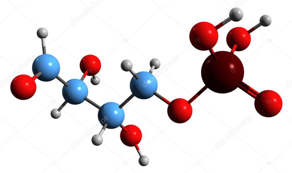 3D image of Erythrose 4-phosphate skeletal formula - molecular chemical structure of metabolite isolated on white background