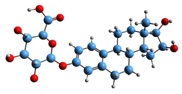 Image Estriol Glucuronide Skeletal Formula Molecular Chemical Structure Natural Steroidal — Foto de Stock