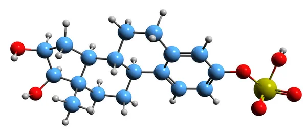 Image Estriol Sulfate Skeletal Formula Molecular Chemical Structure Conjugated Metabolite — Stockfoto