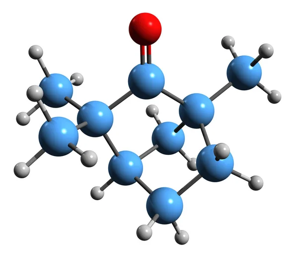 Image Fenchone Skeletal Formula Molecular Chemical Structure Organic Compound Isolated — Stockfoto