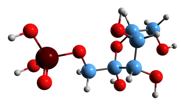 Зображення Скелетної Формули Фруктози Фосфату Молекулярна Хімічна Структура Похідної Фруктози — стокове фото
