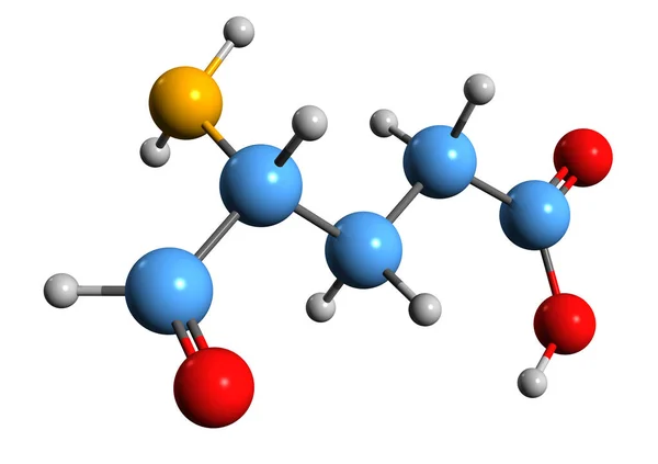 Image Glutamate Semialdehyde Skeletal Formula Molecular Chemical Structure Metabolite Isolated — Foto Stock