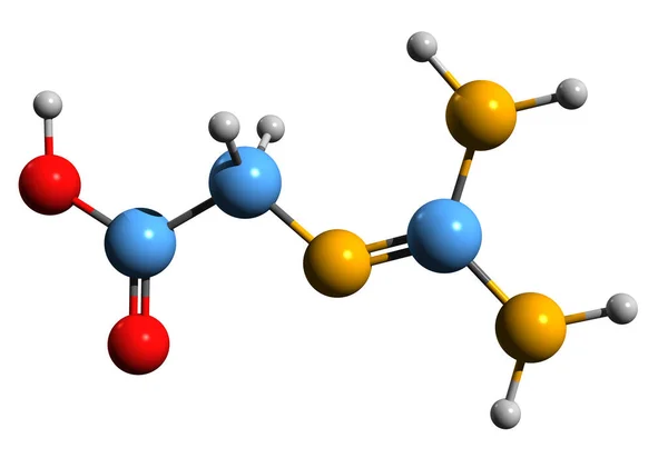 Image Glycocyamine Skeletal Formula Molecular Chemical Structure Guanidinoacetate Isolated White — ストック写真