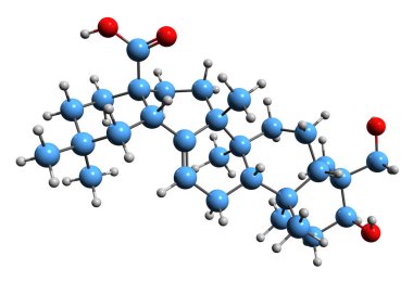  3D image of Hederagenin skeletal formula - molecular chemical structure of triterpenoid isolated on white background
