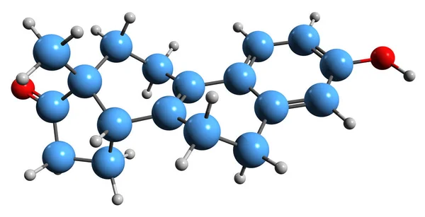 Image Hippulin Skeletal Formula Molecular Chemical Structure Naturally Occurring Estrogen — Fotografia de Stock