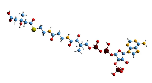 Image Hmg Coa Skeletal Formula Molecular Chemical Structure Hydroxy Methylglutaryl — Stok fotoğraf