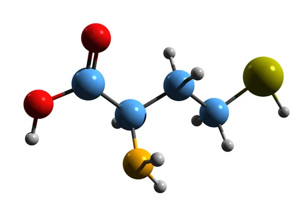 Image Homocysteine Skeletal Formula Molecular Chemical Structure Amino Sulfanylbutanoic Acid — Foto de Stock