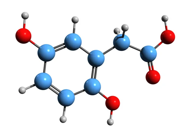 Image Homogentisic Acid Skeletal Formula Molecular Chemical Structure Phenolic Acid — Stockfoto