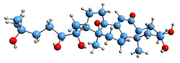 Image Hydroxyecdysone Skeletal Formula Molecular Chemical Structure Dietary Supplement Isolated — Stockfoto