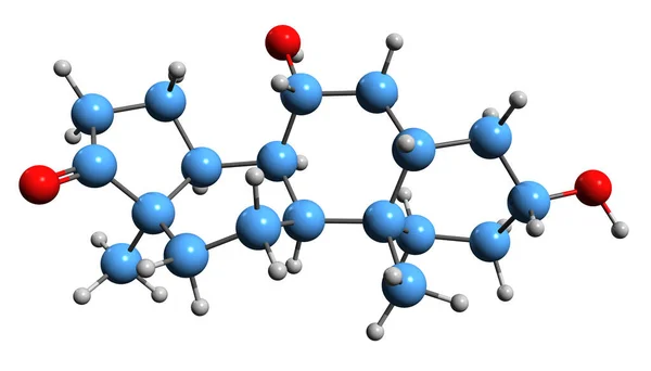 Image Hydroxyepiandrosterone Skeletal Formula Molecular Chemical Structure Endogenous Neurosteroid Isolated — Stock Photo, Image