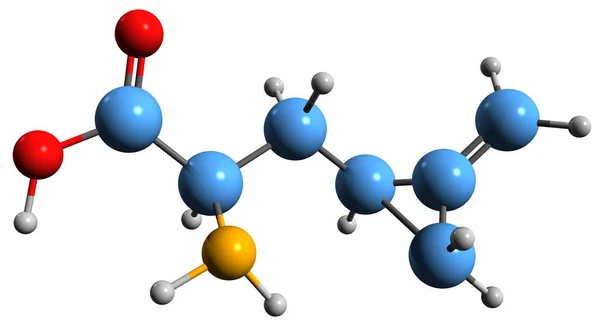 Image Hypoglycin Skeletal Formula Molecular Chemical Structure Amino Acid Derivative — Foto de Stock