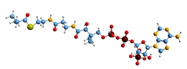 Image Isobutyryl Coa Skeletal Formula Molecular Chemical Structure Valine Metabolism — Stock Photo, Image